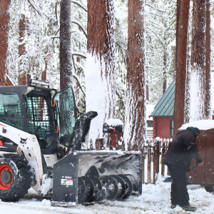 Snow Shoveling Qupte