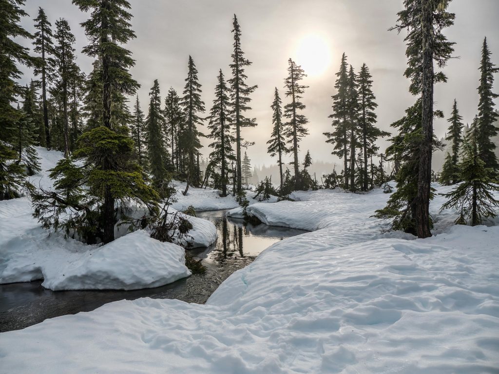 Recent storms signal big winter, secure snow removal today!