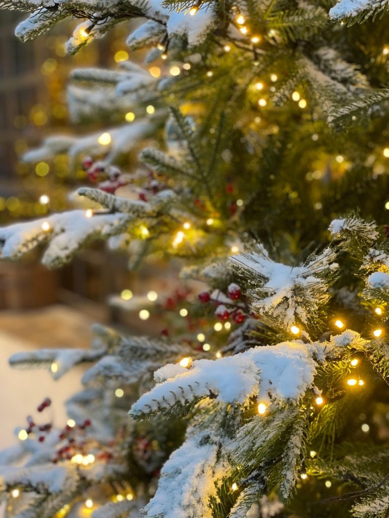 g2dd5e25d2ae29b7c1eee6fafbc6a9a42ff90a5f7b4877fc2b464507eb49d7c13cff3e09199c9d27d534ea195f4a4adfc9466b8bbba35af8c7cd678c70844bada_1280-7673572 tree, christmas tree, snow, winter, nature, holiday, christmas